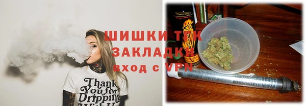 молекула духа Покачи