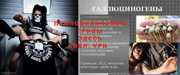 молекула духа Покачи