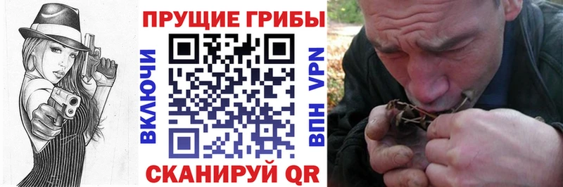 Псилоцибиновые грибы Cubensis  Константиновск 
